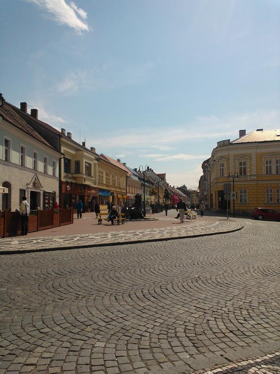 Penzion Lucie Jičín エクステリア 写真